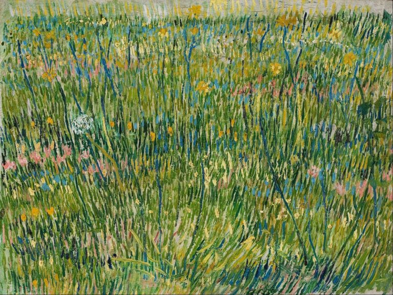 Patch d’herbe – Van Gogh Vincent Van Gogh