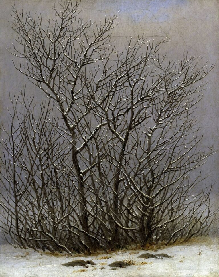 Arbres et arbustes sous la neige – Caspar David Friedrich Caspar David Friedrich