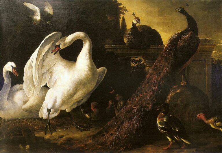 Swans et pains – Melchior d’Hondecoeter Melchior d'Hondecoeter