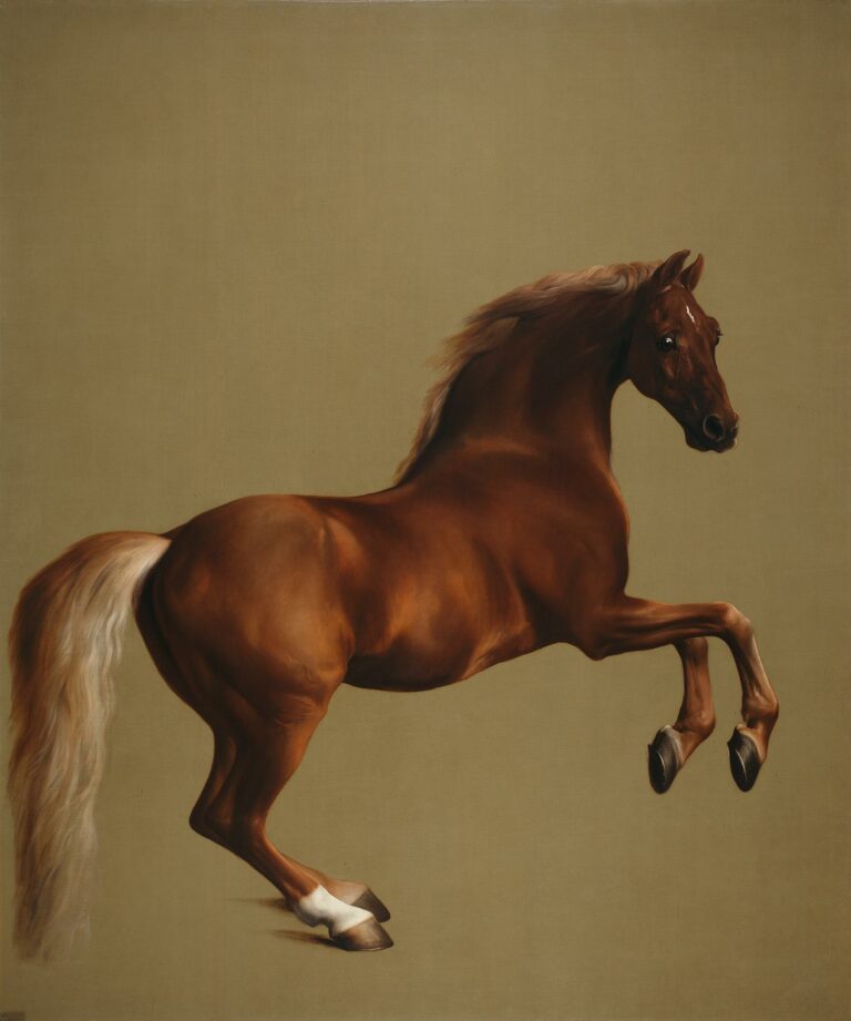 Whistlejacket – George Stubbs George Stubbs