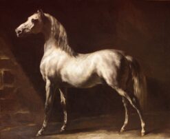 Cheval gris – Théodore Géricault Théodore Géricault