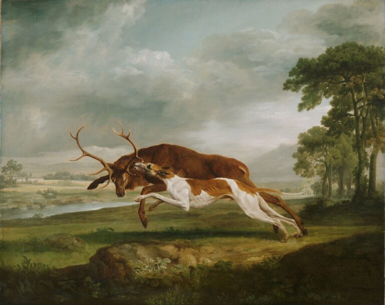 Chien courant sur un cerf – George Stubbs George Stubbs