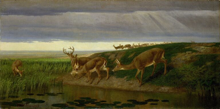 Cerf dans la prairie, 1884 – William Holbrook Beard William Holbrook Beard