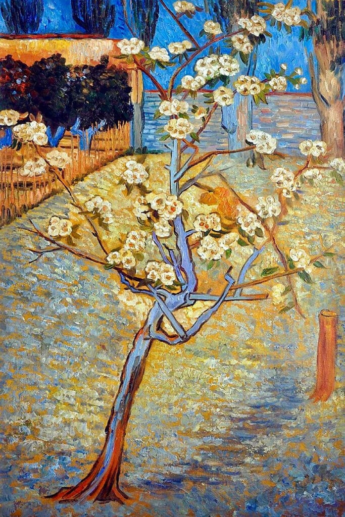 Poirier en fleur – Van Gogh Vincent Van Gogh