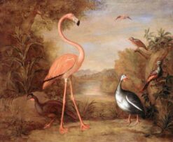 Différents types d’oiseaux (avec un flamant rose) – Tobias Stranover Tobias Stranover