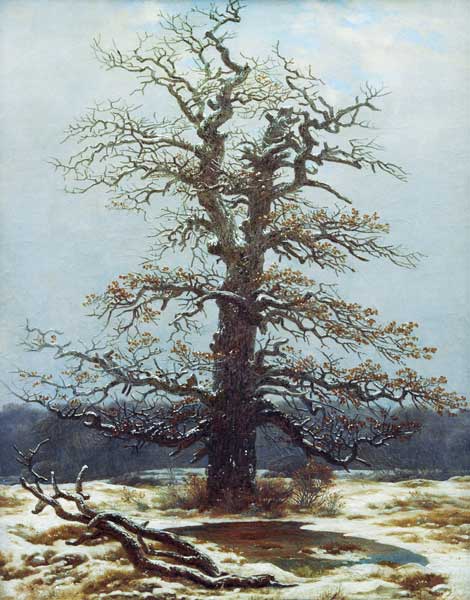 Chêne dans la neige – Caspar David Friedrich Caspar David Friedrich