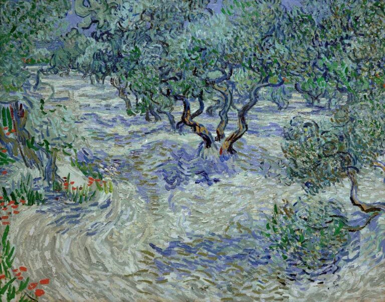 Olivenhain – Van Gogh Vincent Van Gogh