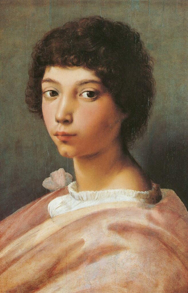 Portrait d’un jeune homme – Raphaël (peintre) Raffaello Sanzio