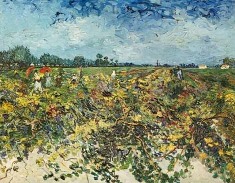 Le vignoble vert – Van Gogh Vincent Van Gogh