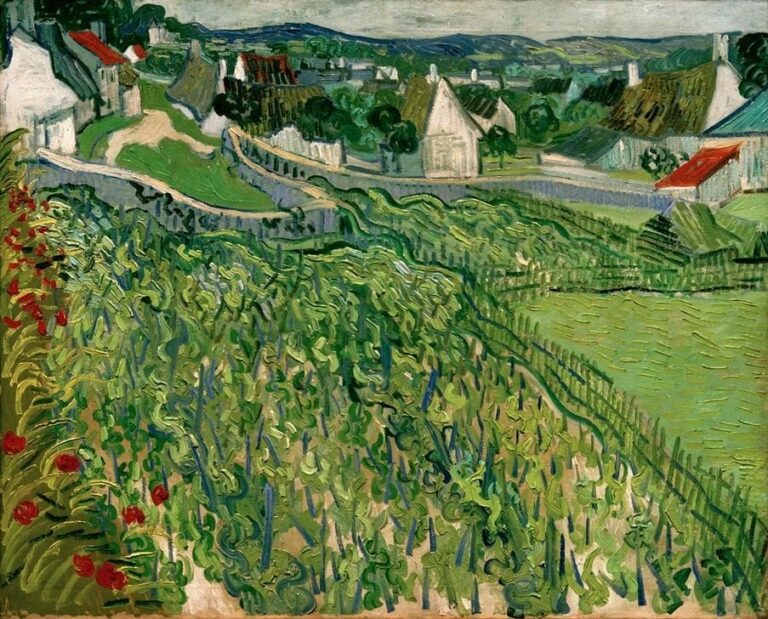 Vignobles d’Auvers – Van Gogh Vincent Van Gogh