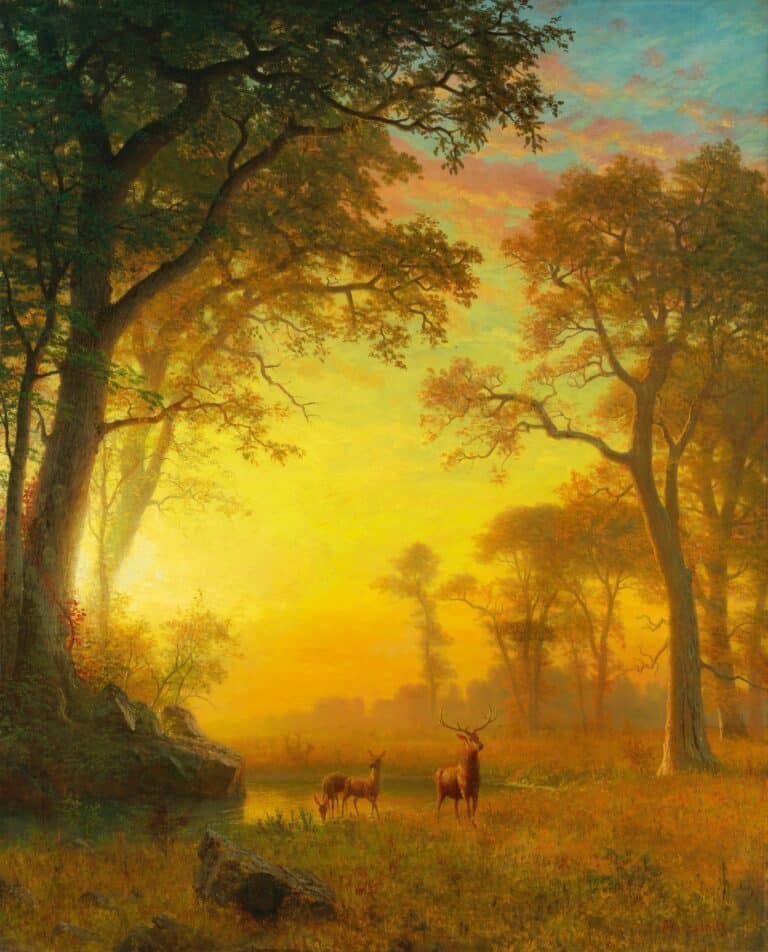 Lumière dans la forêt – Albert Bierstadt Albert Bierstadt