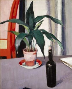 Aspidistra et bouteille sur la table – Francis Cadell Francis Cadell