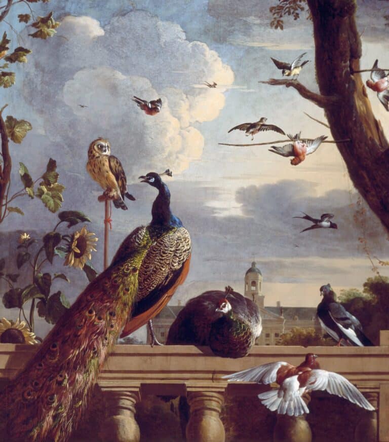 Oiseaux près d’une balustrade – Melchior d’Hondecoeter Melchior d'Hondecoeter