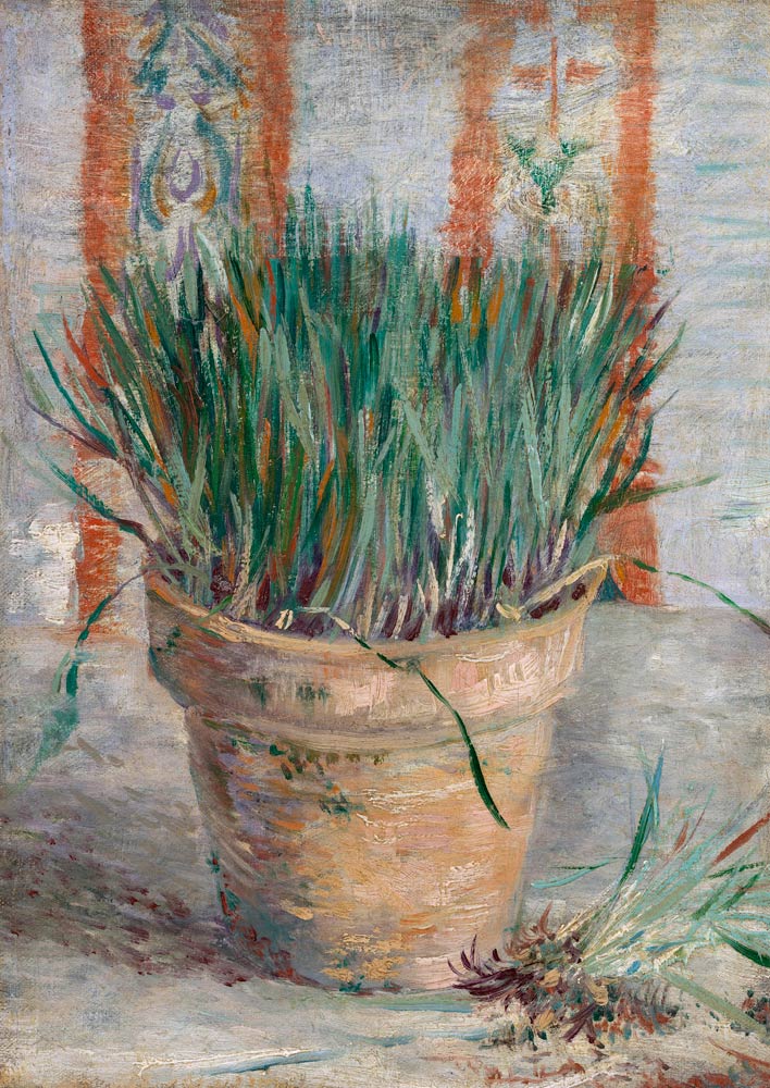 Pot de fleurs – Van Gogh Vincent Van Gogh