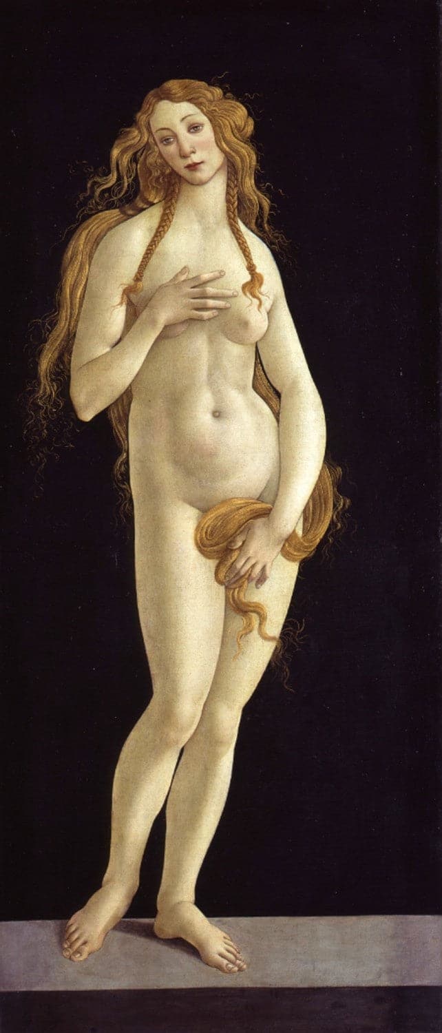 Botticelli (Atelier), Naissance de Vénus – Sandro Botticelli Sandro Botticelli