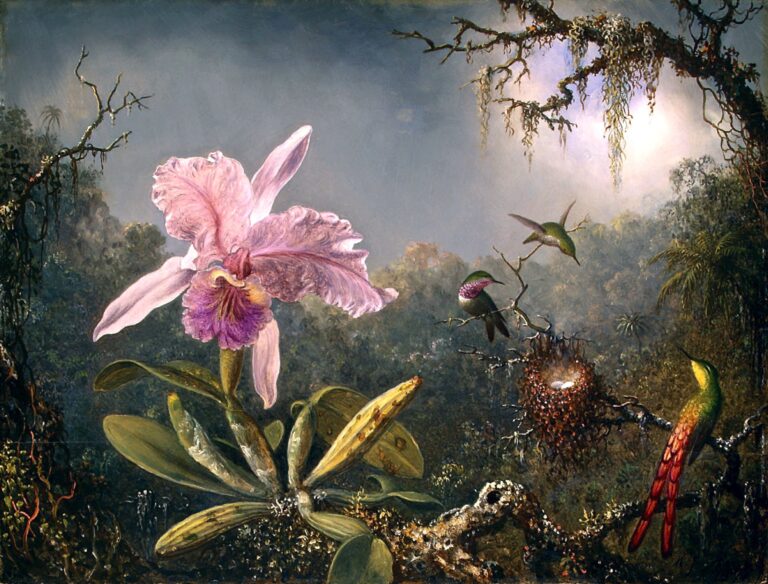 Orchidée Cattleya et trois colibris – Martin Johnson Heade Martin Johnson Heade