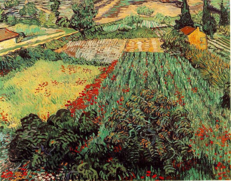 Champs aux coquelicots – Van Gogh Vincent Van Gogh