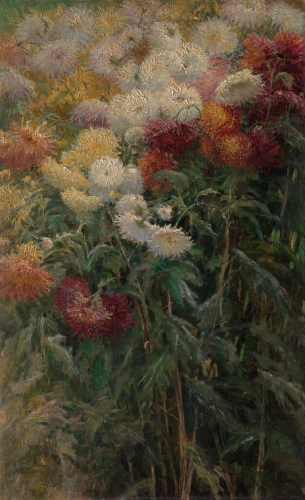 Chrysanthèmes dans le jardin du petit gennevilliers – Caillebotte Gustave Caillebotte