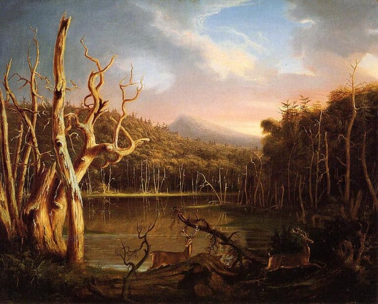 Lac avec des arbres morts (Catskill) – Thomas Cole Thomas Cole