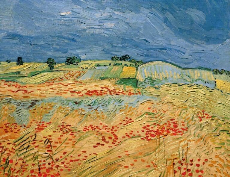 Champs de coquelicots en fleurs – Van Gogh Vincent Van Gogh