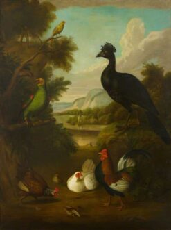 Canari, perroquet vert et autres oiseaux dans un paysage – Tobias Stranover Tobias Stranover