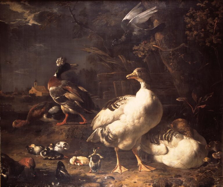 Oies et canards – Melchior d’Hondecoeter Melchior d'Hondecoeter