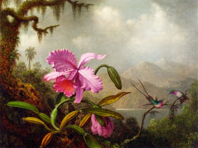 Orchidées et colibris – Martin Johnson Heade Martin Johnson Heade