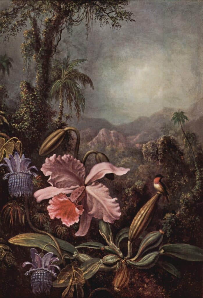 Orchidée, Passiflore et Colibri – Martin Johnson Heade Martin Johnson Heade