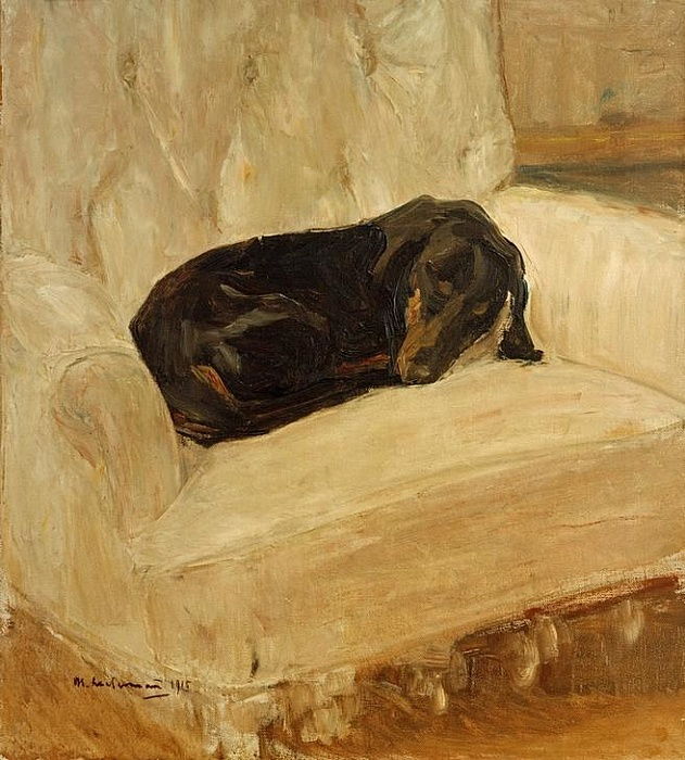 Teckel endormi dans un fauteuil – Max Liebermann Max Liebermann