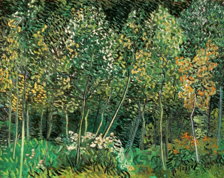 Petite forêt – Van Gogh Vincent Van Gogh