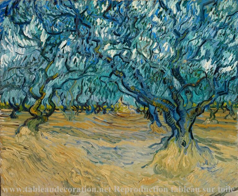 Le Champ d’oliviers – Van Gogh Vincent Van Gogh