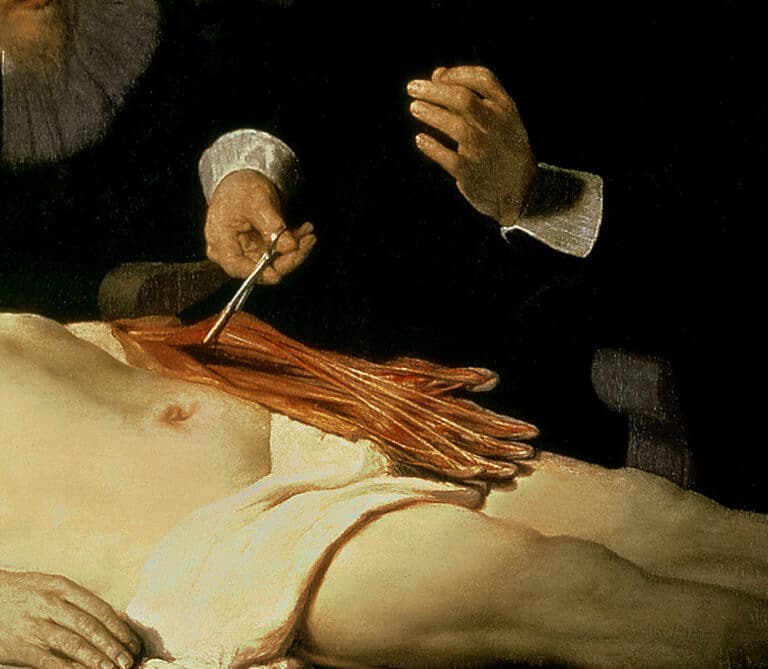 La leçon d’anatomie du Dr Nicolaes Tulp, 1632 (détail de 7543) de Rembrandt van Rijn Rembrandt van Rijn