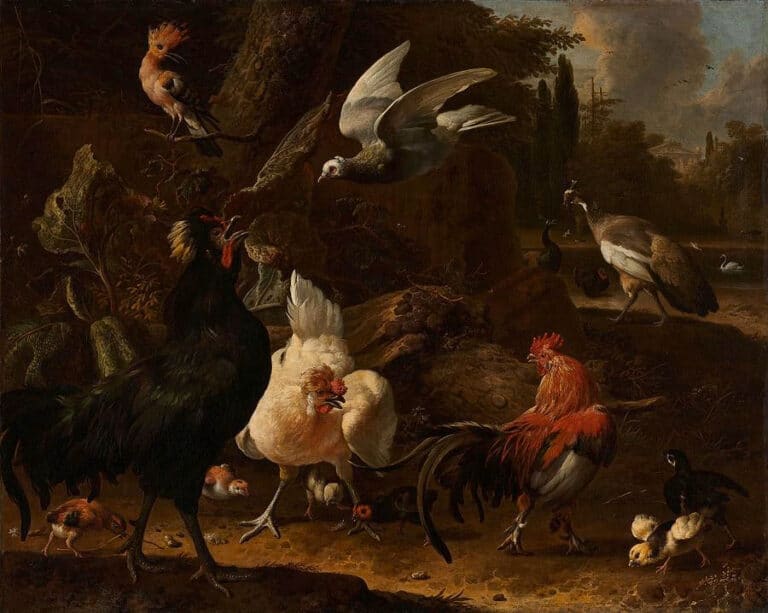 Oiseaux dans un parc – Melchior d’Hondecoeter Melchior d'Hondecoeter