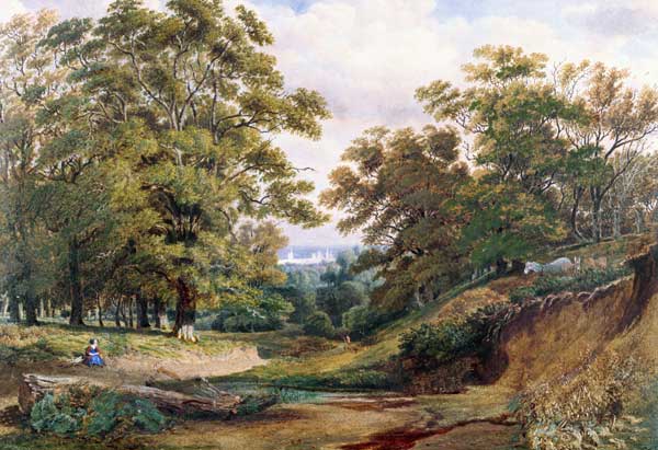 Une scène dans le bois de Bagley près d’Oxford – William Turner William Turner