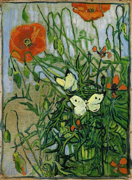 Papillons et pavots – Van Gogh Vincent Van Gogh