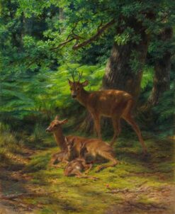 Deer in Repose – Rosa Bonheur Rosa Bonheur