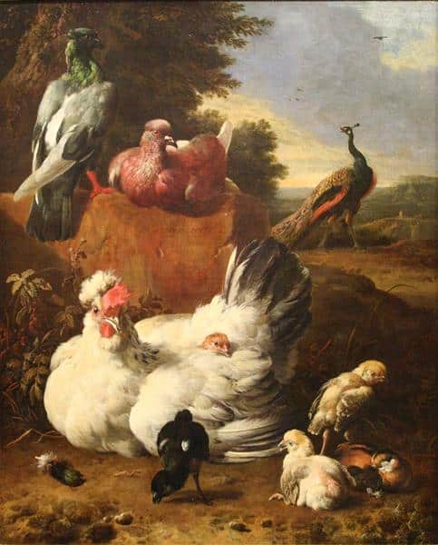 La poule blanche – Melchior d’Hondecoeter Melchior d'Hondecoeter