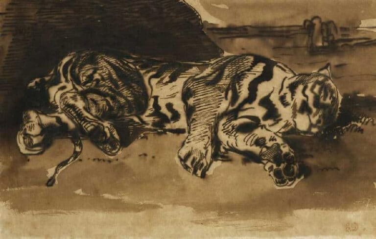 Tigre Couché – Eugène Delacroix Eugène Delacroix