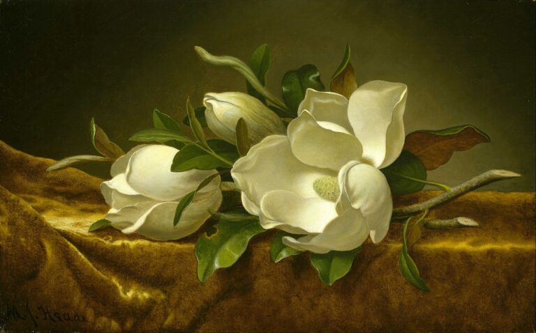 Magnolias sur tissu de velours doré – Martin Johnson Heade Martin Johnson Heade