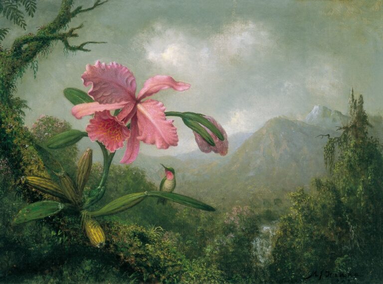 Orchidée et colibri près d’une cascade de montagne – Martin Johnson Heade Martin Johnson Heade