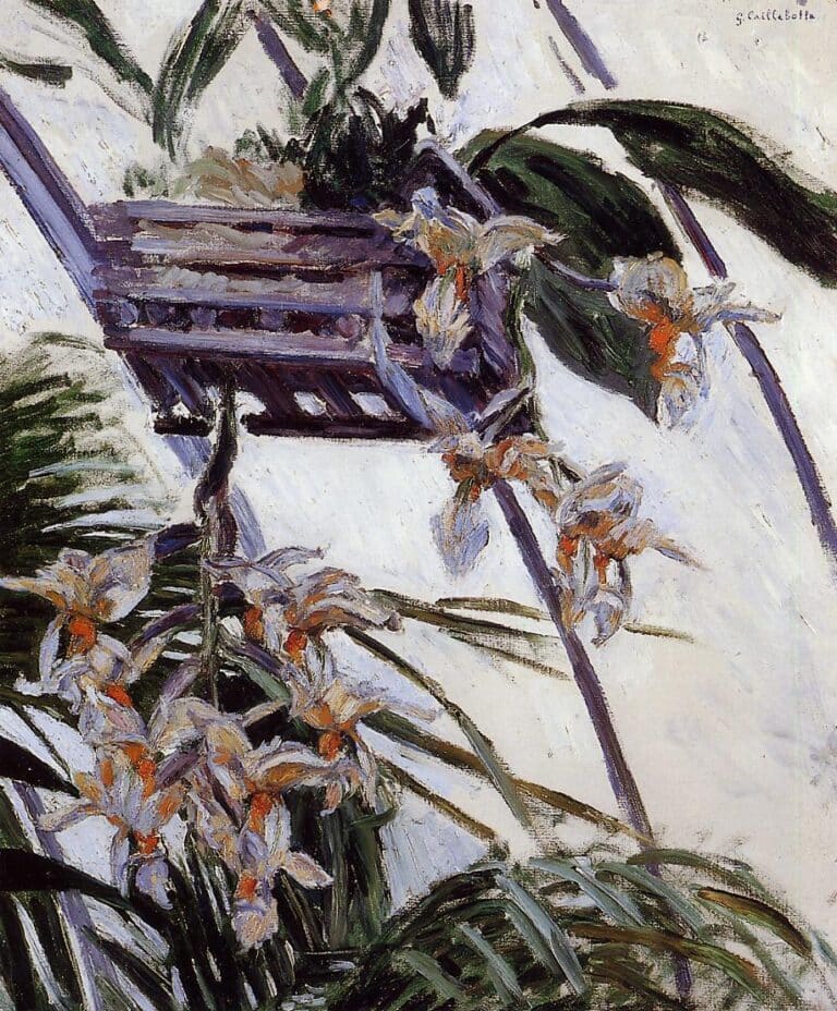 Orchids – Caillebotte Gustave Caillebotte