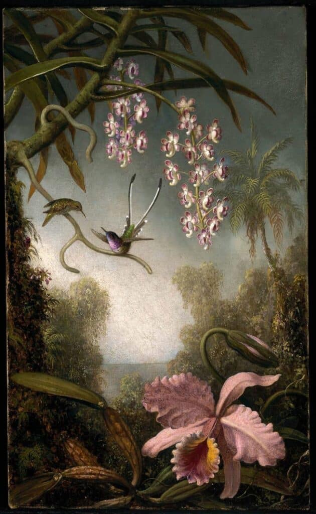 Orchidées et Spray Orchids avec Colibri – Martin Johnson Heade Martin Johnson Heade