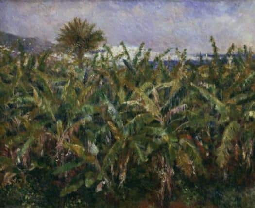 Plantation de bananes – Pierre-Auguste Renoir Pierre-Auguste Renoir