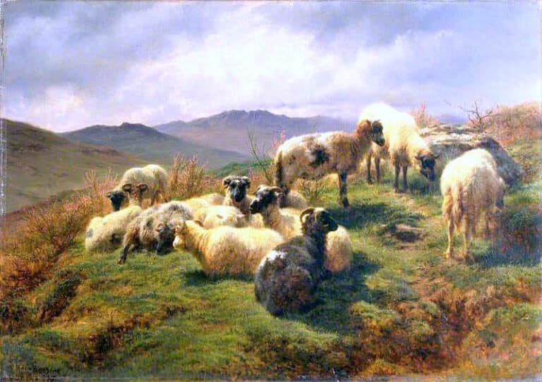 Sheep in the Highlands – Rosa Bonheur Rosa Bonheur