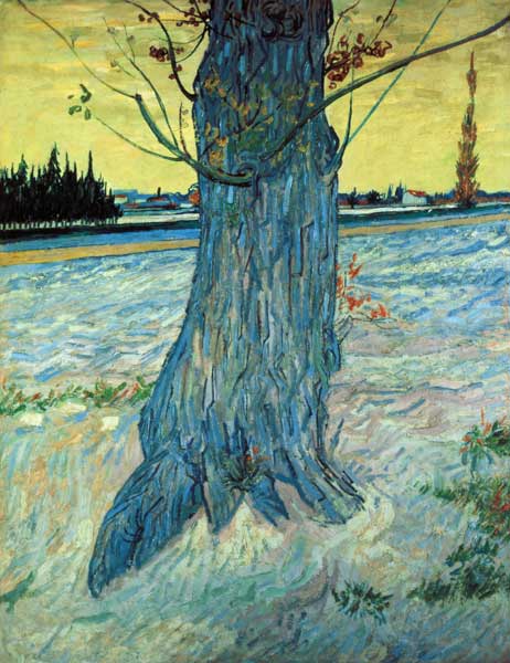 L’arbre – Van Gogh Vincent Van Gogh