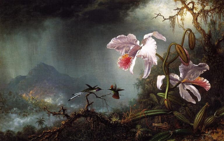 Deux colibris en combat avec deux orchidées – Martin Johnson Heade Martin Johnson Heade