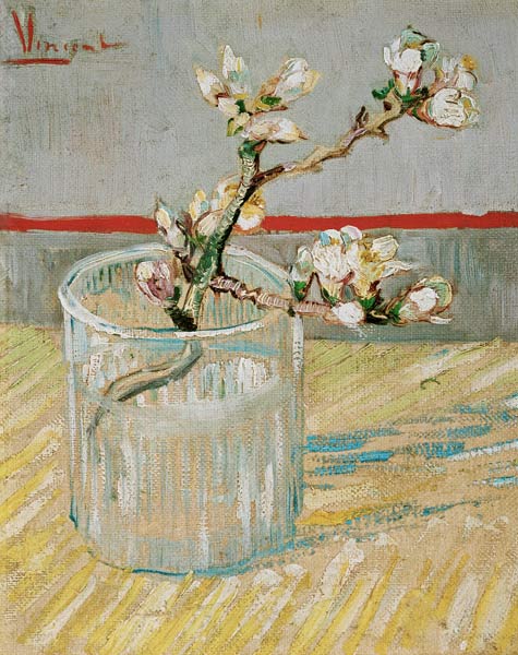 Branche d’amandier en fleur dans un verre – Van Gogh Vincent Van Gogh