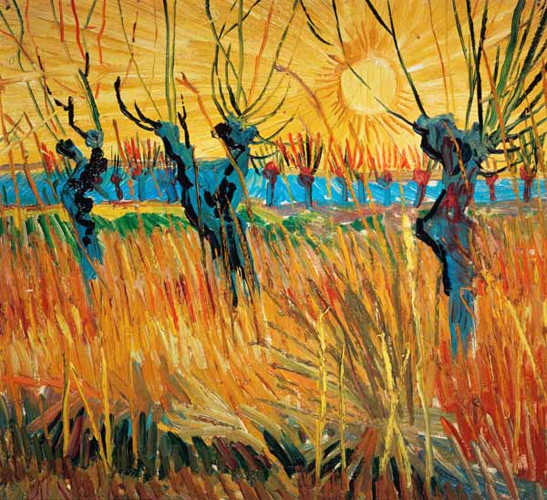 Les saules au soleil couchant – Van Gogh Vincent Van Gogh